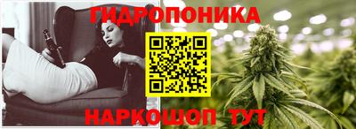 a pvp Дубна