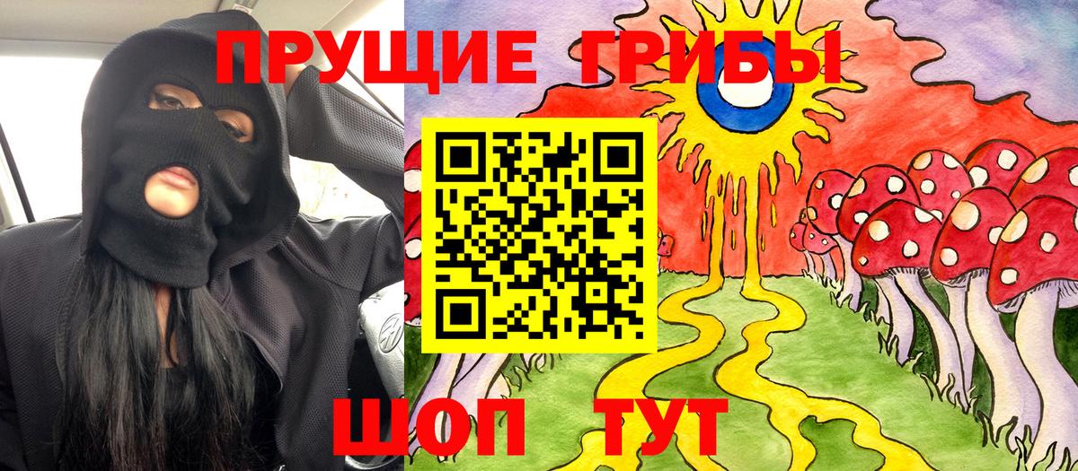 APVP Кисловодск