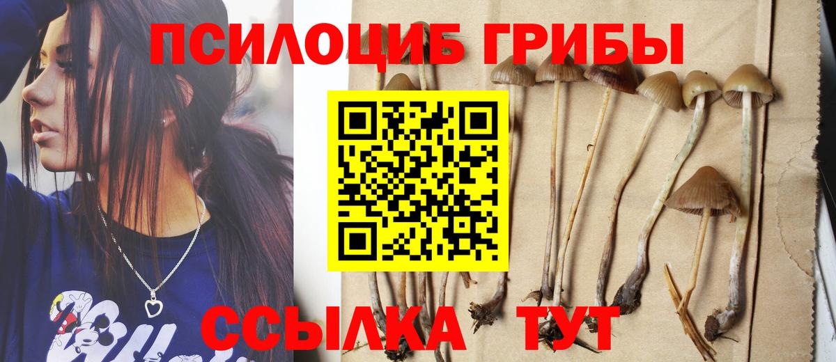 Галлюциногенные грибы MAGIC MUSHROOMS  Псилоцибиновые грибы MAGIC MUSHROOMS  Кисловодск  Вход с VPN 